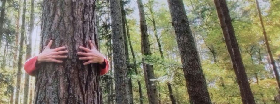 Waldspaziergang der besonderen Art