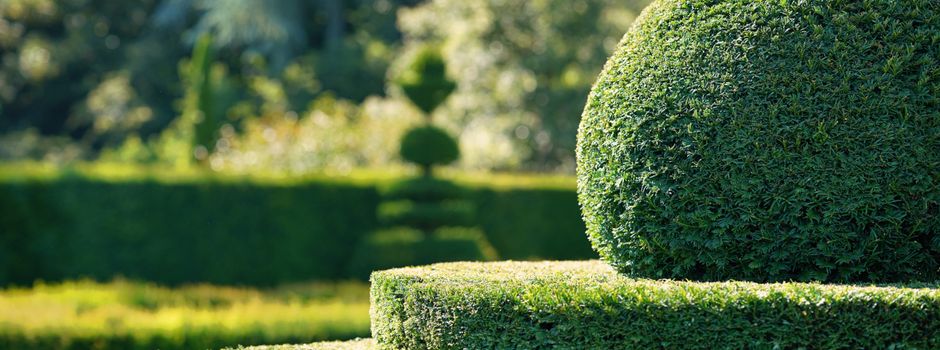 Garten- und Landschaftsbau