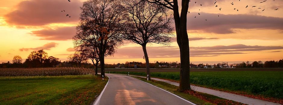 Aktueller Planungsstand zum Neubau eines Geh- und Radweges entlang der S 31 zwischen Mügeln und Leisnig vorgestellt