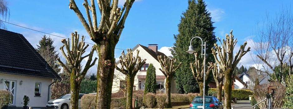 Baumschnittarbeiten im Ort durchgeführt