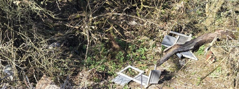 Illegale Müllentsorgung in Germerode 