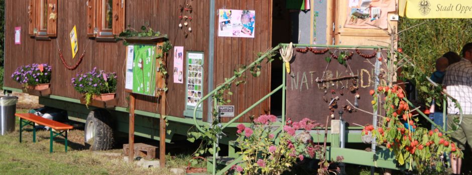 Aktion “Rhine Cleanup” in Oppenheim: Aufruf zum Mitmachen am 15. September
