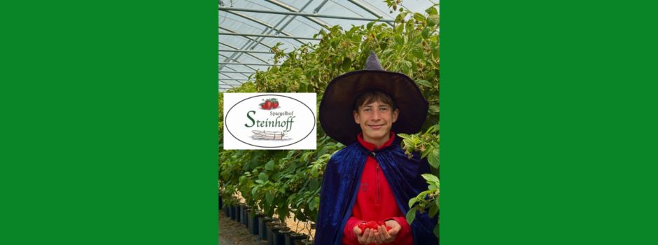 Jetzt Himbeeren und Heidelbeeren zum selber pflücken direkt vom Strauch - auf dem Hof Steinhoff