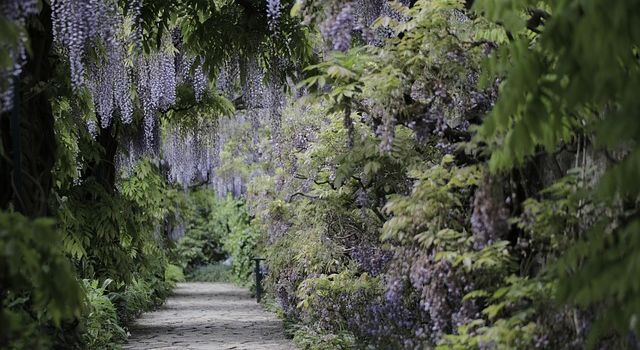 Das Geheimnis des Zaubergarten am 27. Juni um 14:00 Uhr