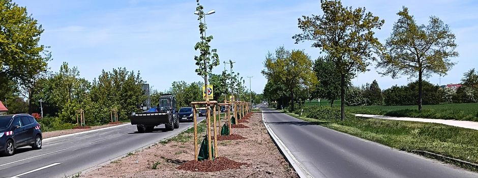 Worms macht Straßen zu Grünflächen: Was das für die Bürger bedeutet