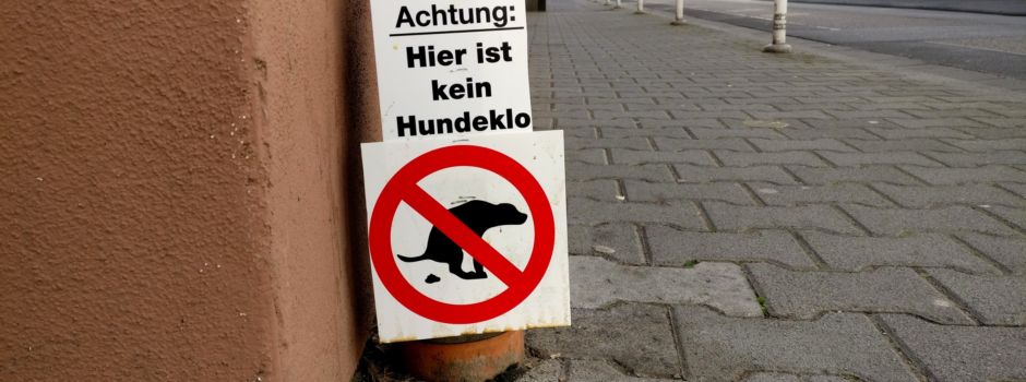 Streit um Hunde-Pipi an Hauswänden – was Haltern droht