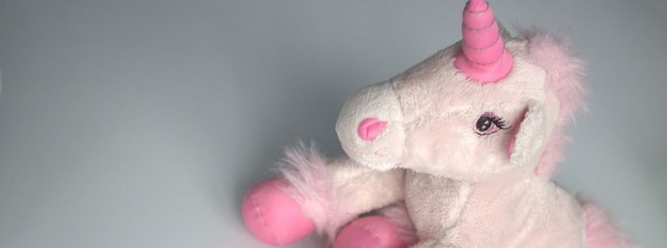 Amerika: Der Traum vom Einhorn und die Erlaubnis der Behörde