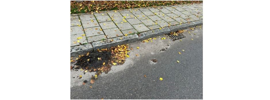 Reinigung der Straßengullys