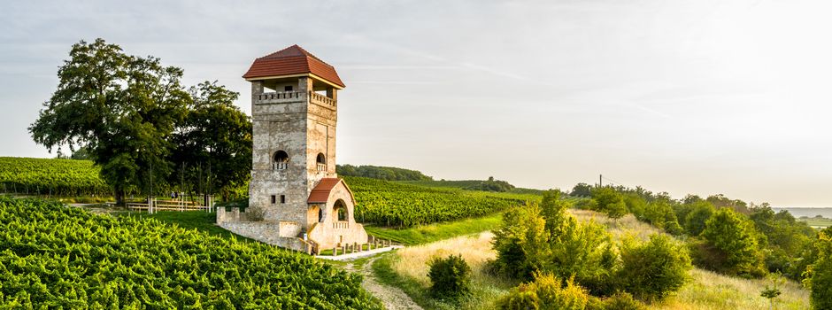 Fünf neue Hiwweltouren für Rheinhessen angekündigt