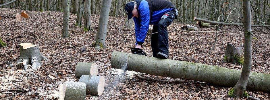 Brennholzbestellung 2025/2026 in Waldems