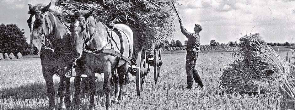 Historische Heidebauernwirtschaft