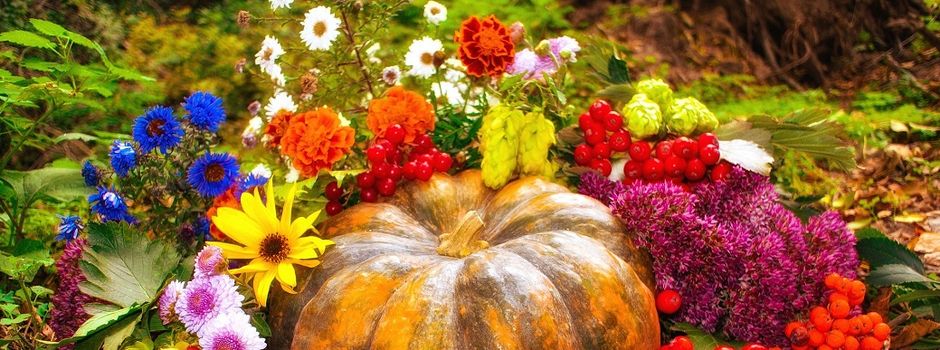 Senioren-Treffpunkte im Oktober