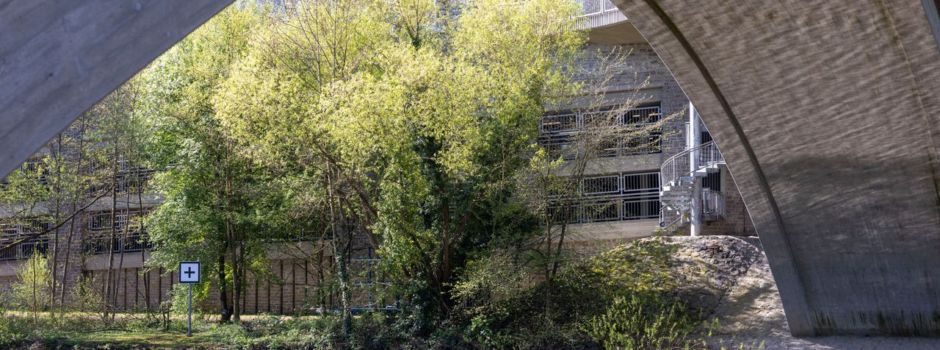 Trauer um den sechsjährigen Pawlos