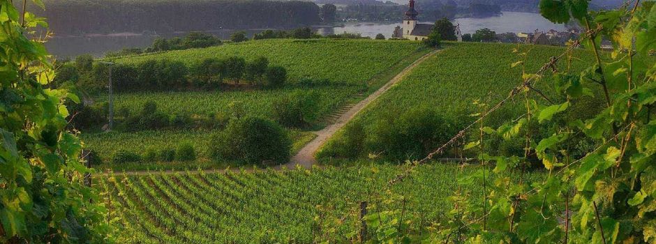 Genussvolles Wochenende im Friedrichshof: Harald Schmitt lädt zur Adventsverkostung