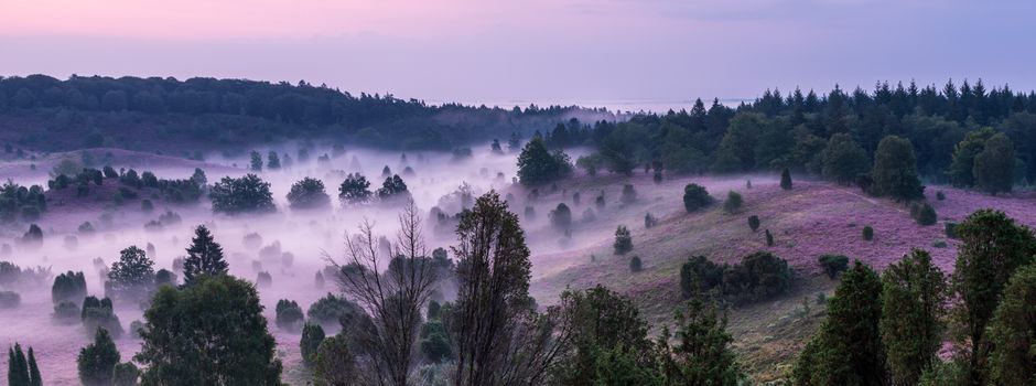 Wenn Wanderer den Morgennebel auf den Heideflächen genießen