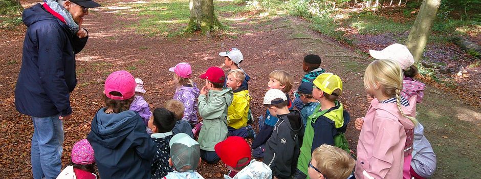 Schulwichtel der Kita Naseweis erleben spannende Waldwoche