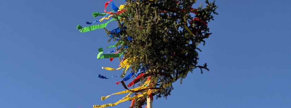 Maibaum aufgestellt