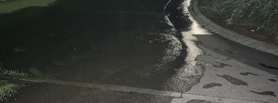 Wasserrohrbruch im Lauenweg - Update