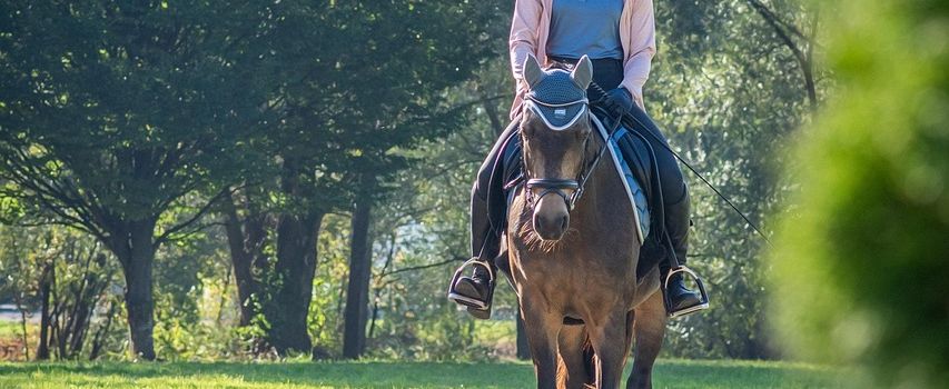 Ferienreitkurs beim Reitverein Winzeln