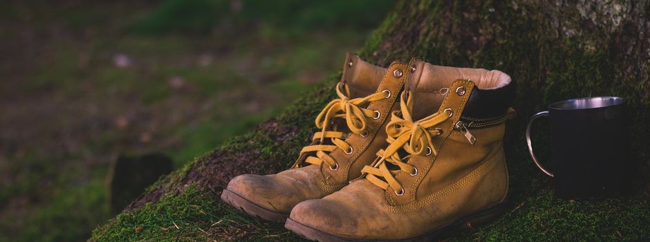 Wandertag am 11.01.2025