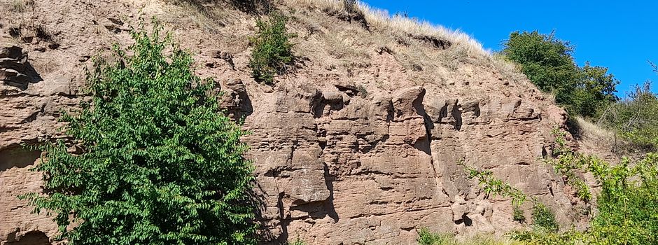 Geologie und Natur auf dem Heeseberg erleben