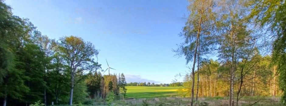 Waldbegehung 14.03.2025 Revier Bickenbach II „Oberjagd“