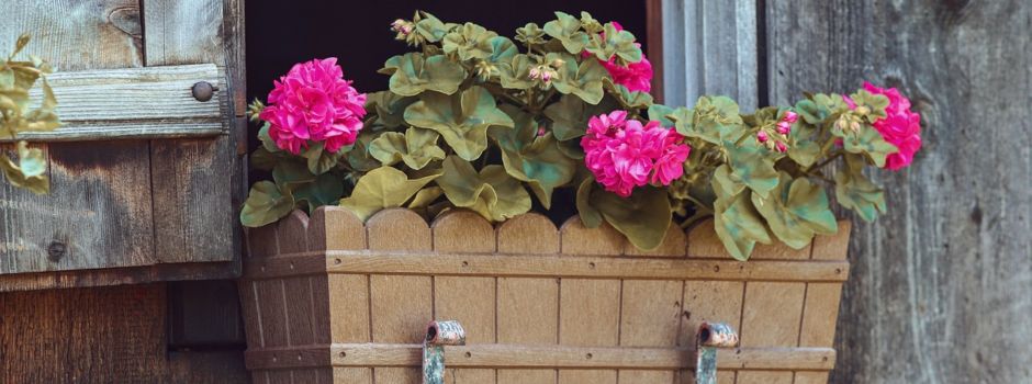 Mainzer wirft Blumenkübel auf Polizisten: Einweisung in Psychiatrie