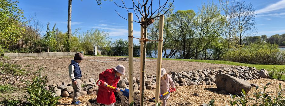 Kleine Hände, großer Baum: Kinder pflanzen einen Apfelbaum