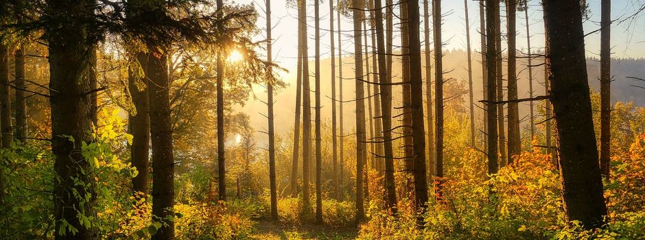 „Platz für neues Leben“ - Wanderbahn gesperrt