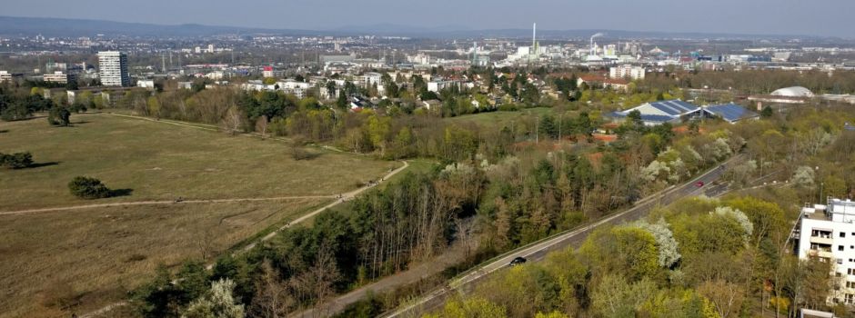 Neues Gymnasium für Mainz