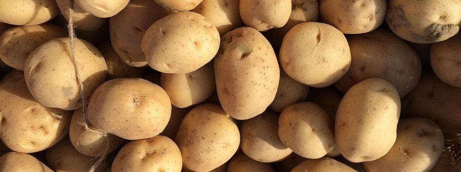 Grumbeerebrode an der Stockwaldhütte