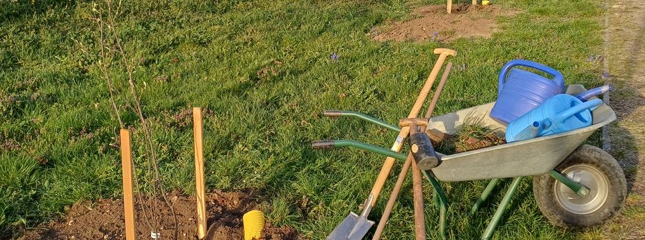 Frisches grün-weiß-blau für Trollenhagen