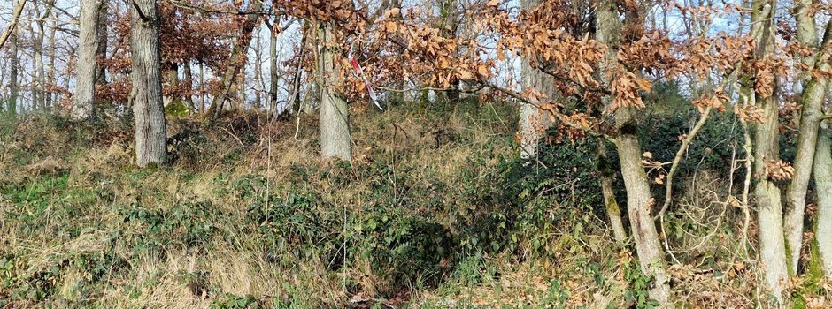 Leiche ohne Kopf bei Monreal: Partner (41) in Äthiopien festgenommen