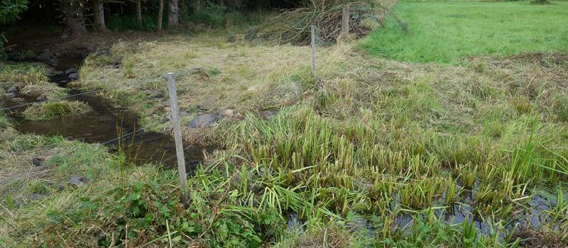 Staatsanwaltschaft Koblenz: Neue Details zum Dreifachmord in Weitefeld