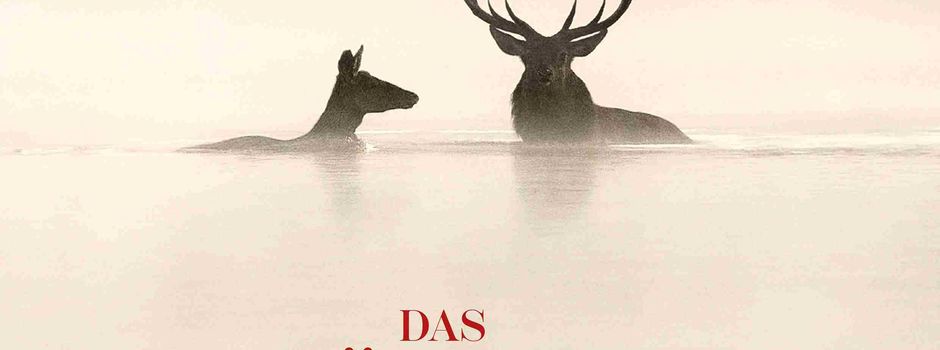 Filmreif – Kino! Für Menschen in den besten Jahren