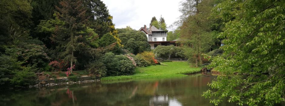 Schön ist's in und um Rengsdorf