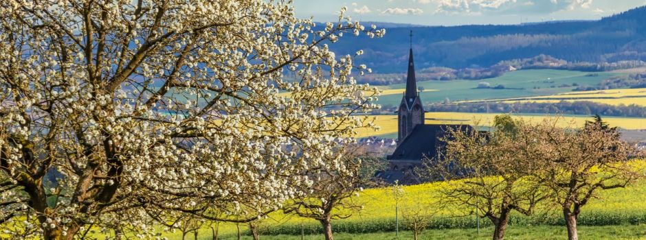 Einladung zum Arbeitseinsatz Baum- und Strauchschnitt