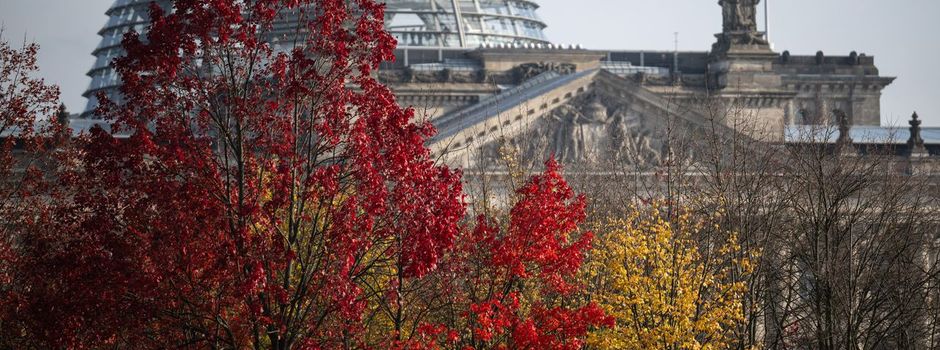 Was geht noch bei Gesetzen vor der Neuwahl?