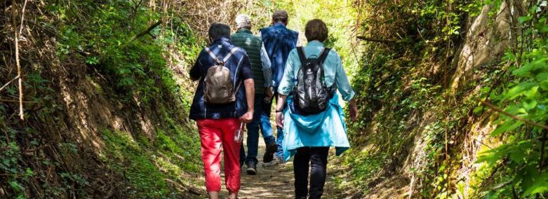Wandern, Genießen, Erleben: Guntersblum lädt auf den WeinErlebnisPfad ein