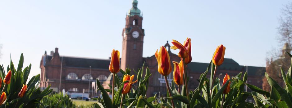 Das sind die Good News im März