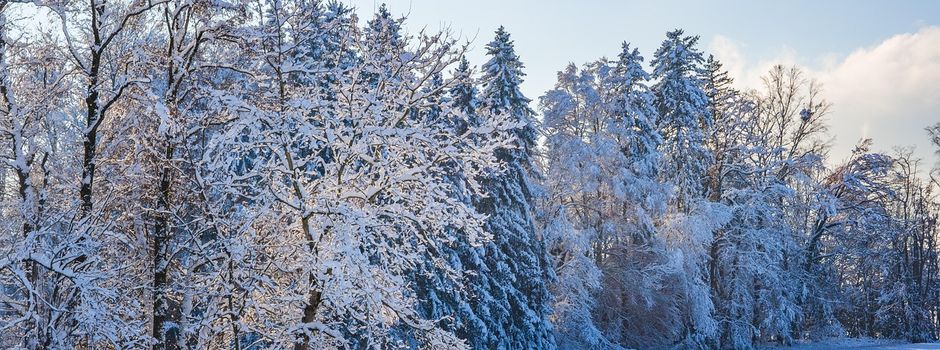 Gruß zum Neuen Jahr 2026