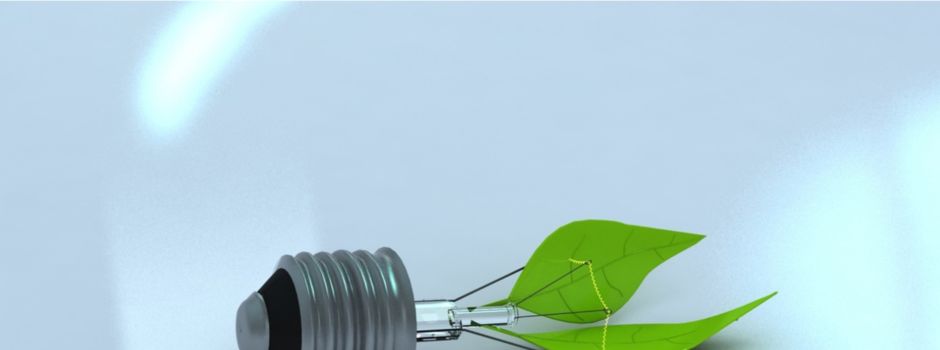 Umfrage zu Energie und Nachhaltigkeit in Neupotz