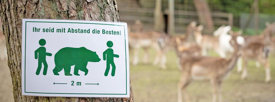 Neustart mit Hygienekonzept