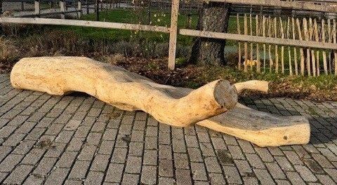 Ein neuer Kletterbaum für unsere Kita wird benötigt: Wer kann uns helfen?