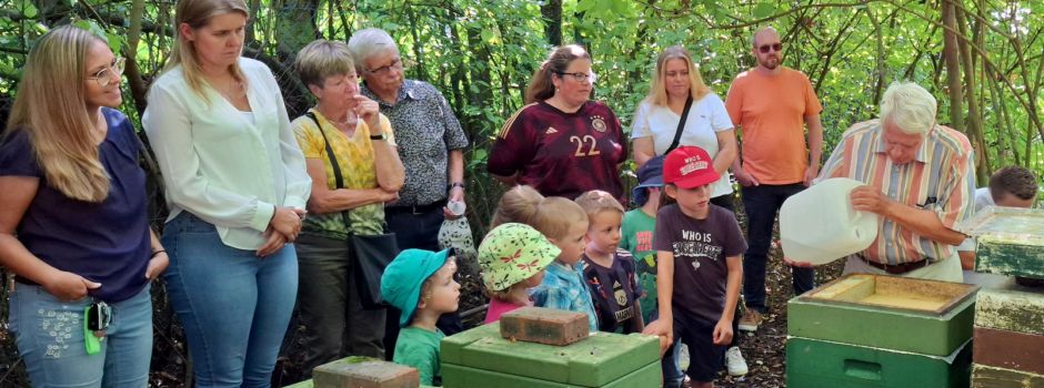 Bienenschwarm der Kita St. Matthäus findet neues Zuhause am Lehrteich des Bürgervereins Niederkassel