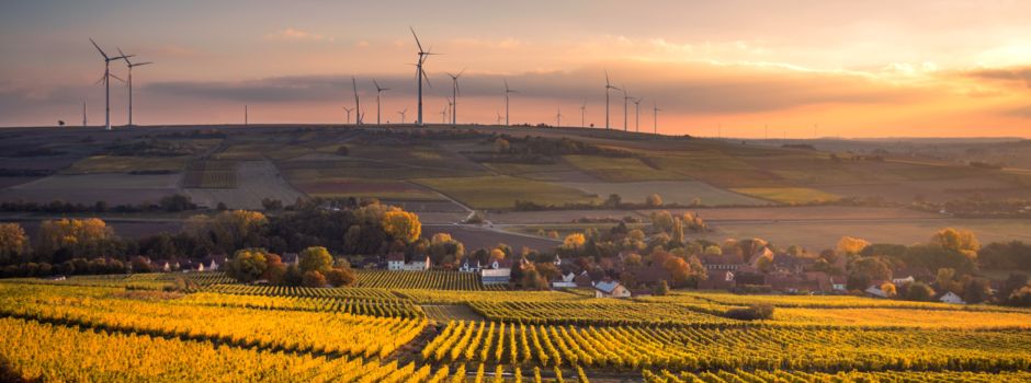 Jetzt neu: Merkurist startet in Rheinhessen