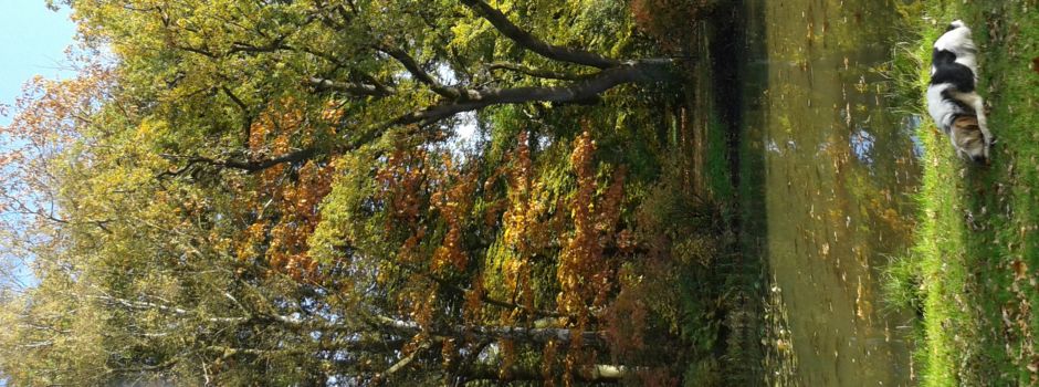 Geführte Herbstwanderungen auf den Spuren der Brüder Freudenthal