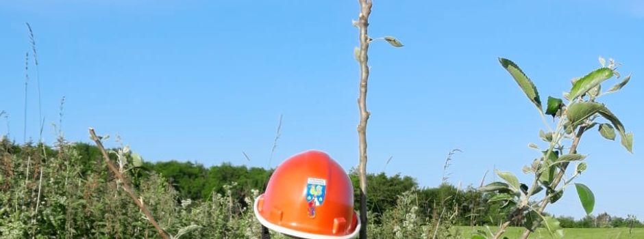 Baumpflanzaktion der Feuerwehr