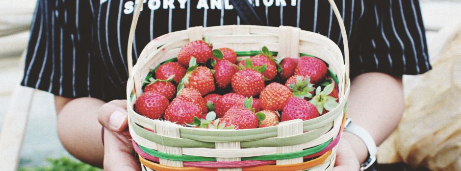 Erdbeerfelder in und um Augsburg – 21 Felder zum Selbstpflücken