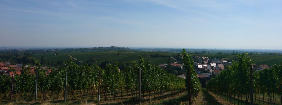 Wo ist Euer Lieblingsplatz in Ranschbach?